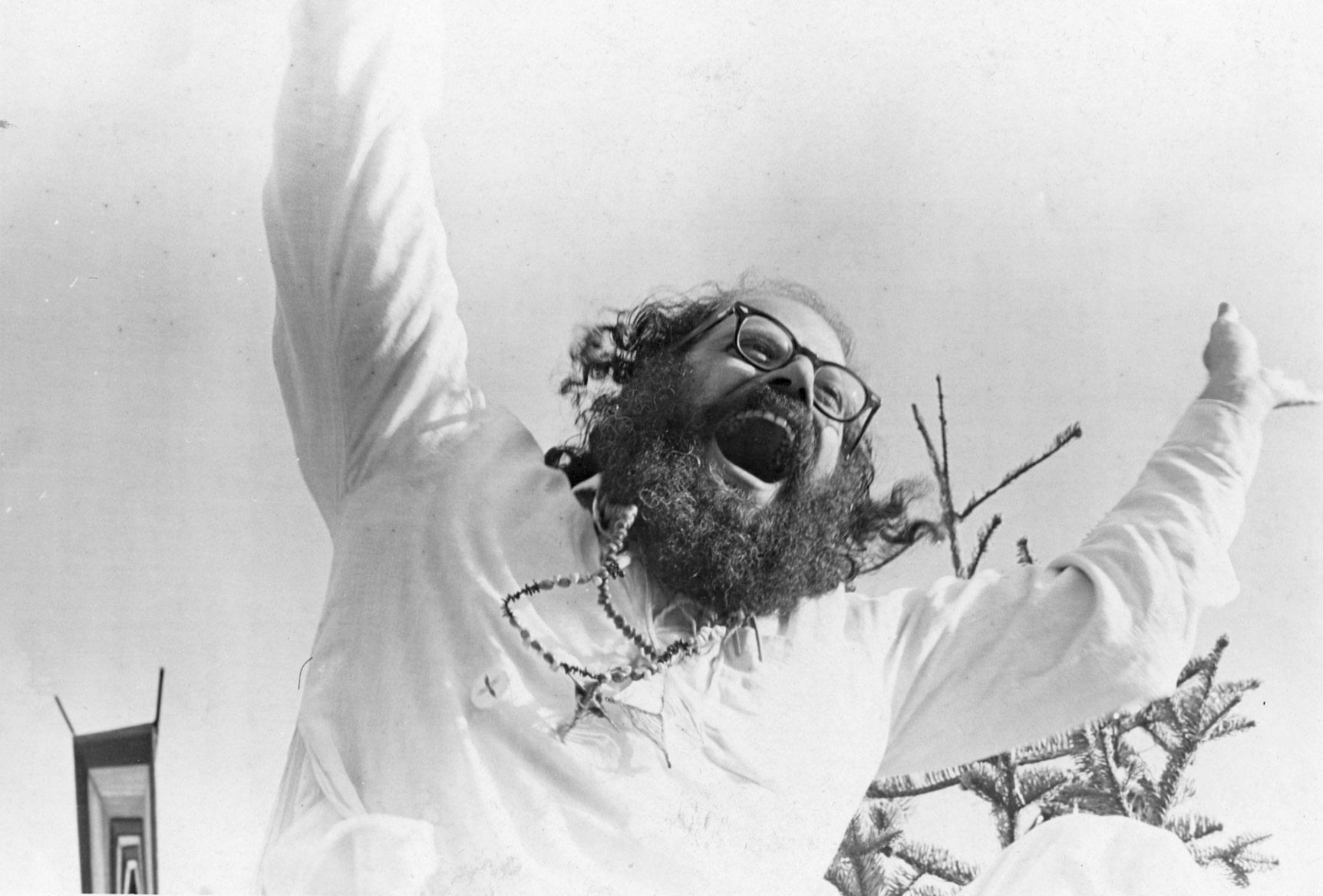 Allen Ginsberg howling by Beth Bagey