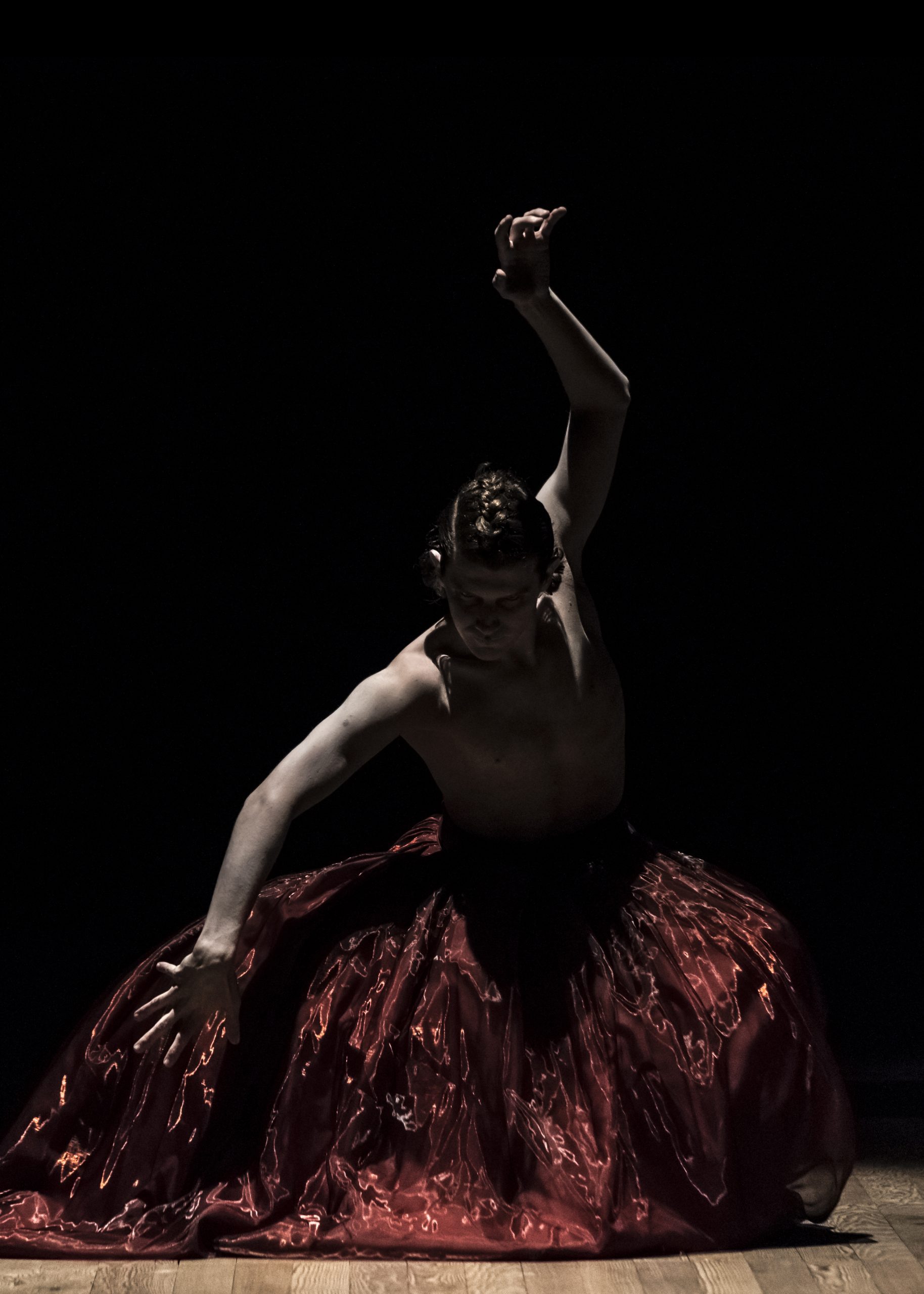 Damiano Fina Citrinitas The Presage of The Phoenix ph by Riccardo Panozzo 2017 key image
