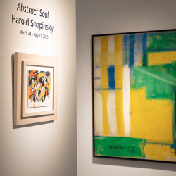 Harold Shapinsky: Abstract Soul