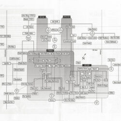 DQNY Family Tree